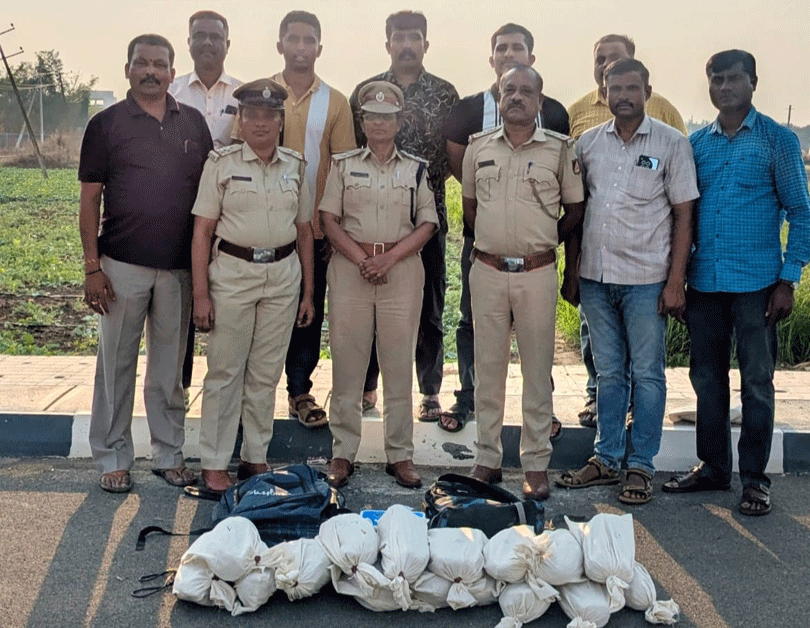 17 ಕೆ.ಜಿ.ಗೂ ಹೆಚ್ಚು ಗಾಂಜಾ ವಶ